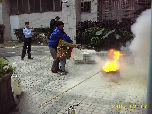 200807258166.JPG